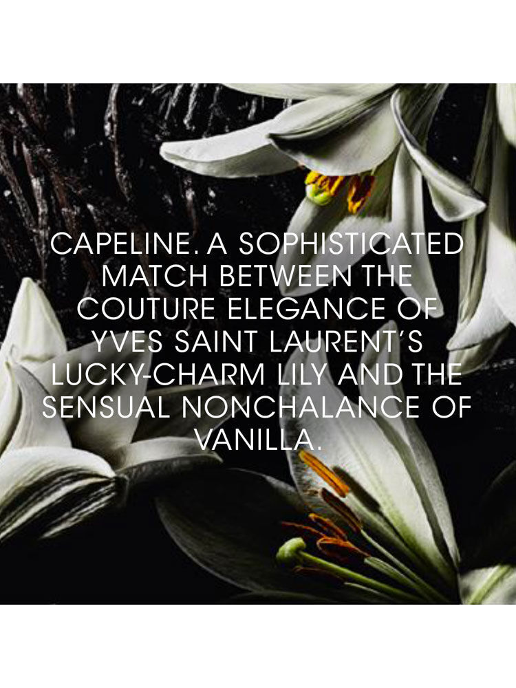 CAPELINE – LE VESTIAIRE DES PARFUMS