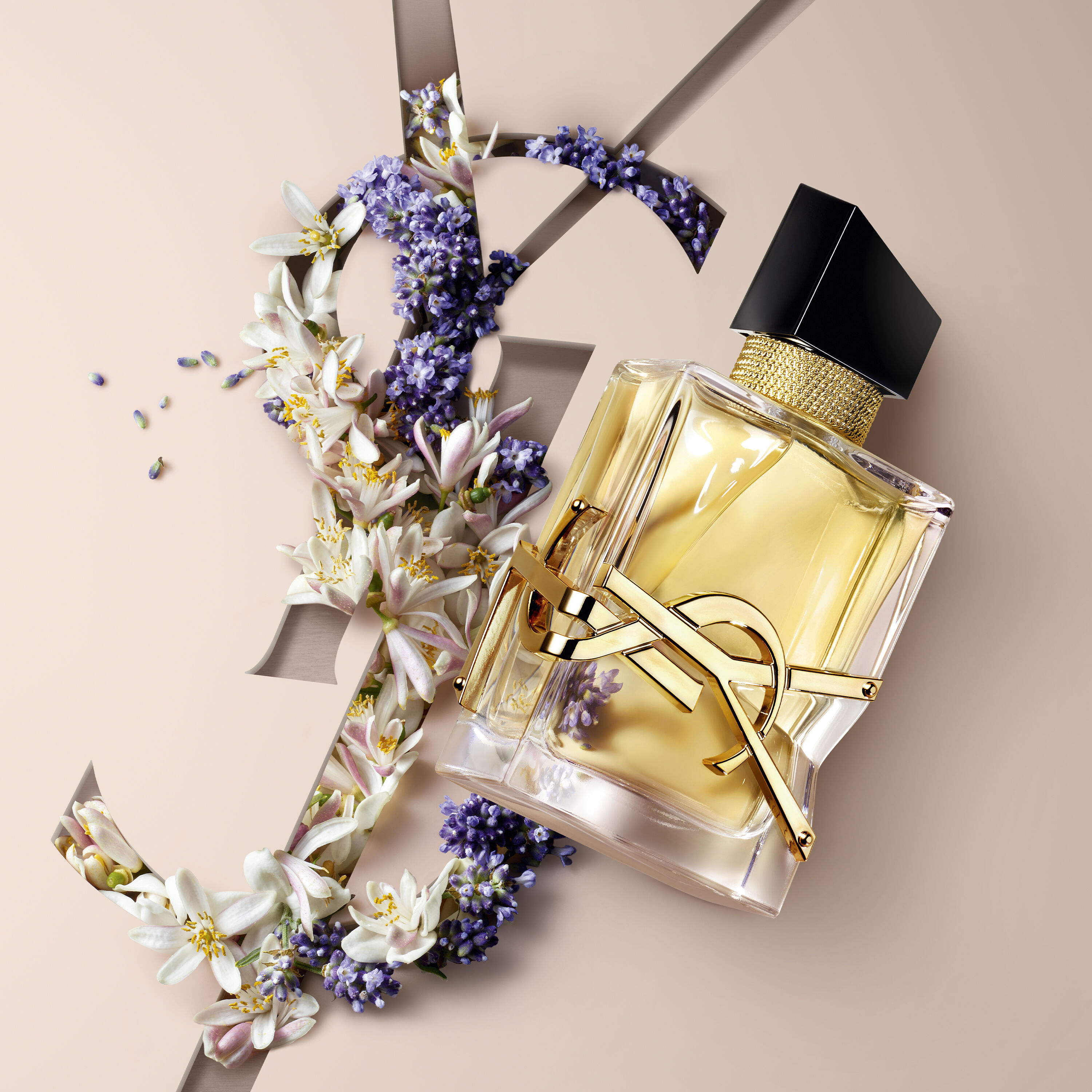 COFRE REGALO LIBRE EAU DE PARFUM 50 ML + 10 ML