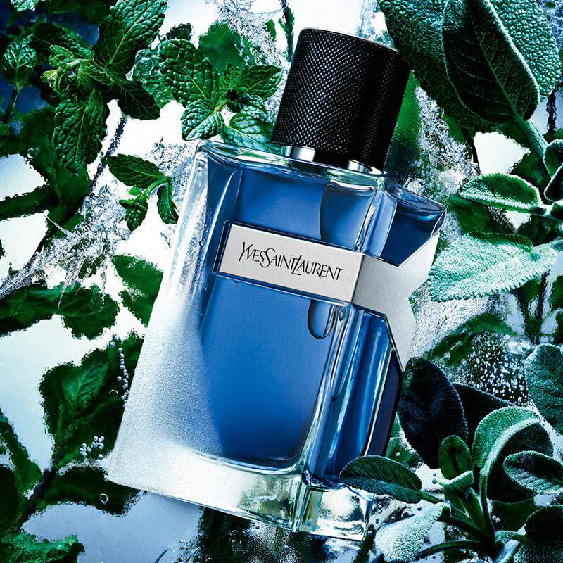 Frasco de YSL Y sobre un fondo de plantas frescas y agua