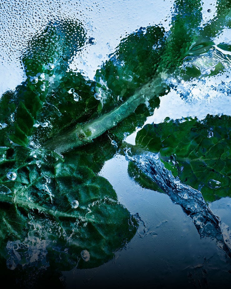 Fresh mint leaves encased in ice and water, symbolizing the 
invigorating essence of YSL Y Eau de Toilette Intense Iced Cologne.