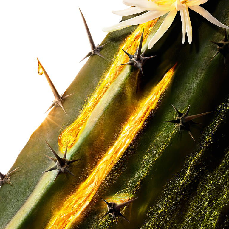 YSL Pure Shots Cactus Moonlight, a key ingredient, with a white flower and golden essence flowing down the stem.