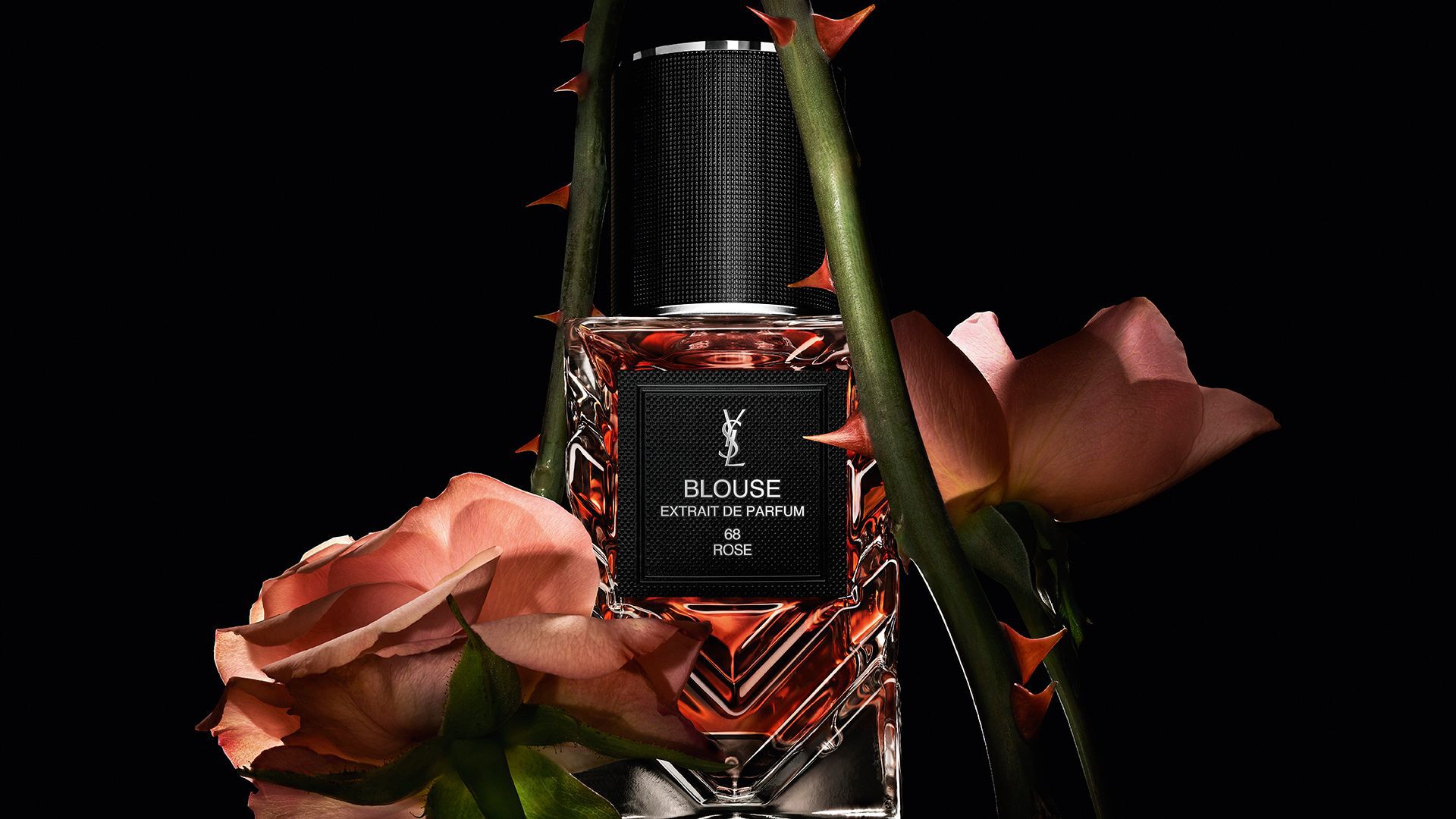 YSL Blouse extrait de parfum bottle in warm amber tones surrounded by roses and thorned stems against a black background.