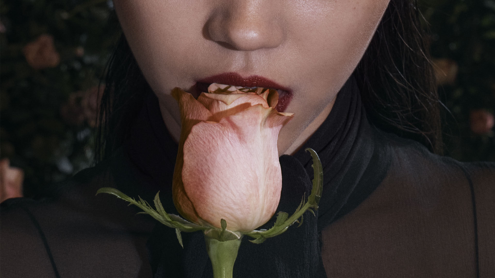 Close-up of model with deep red lips holding a soft pink rose between her lips against a dark floral background.